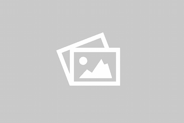 Bộ Ấm Tích Pha Trà Xanh Men Rạn Hoa Bồ Công Anh AT15